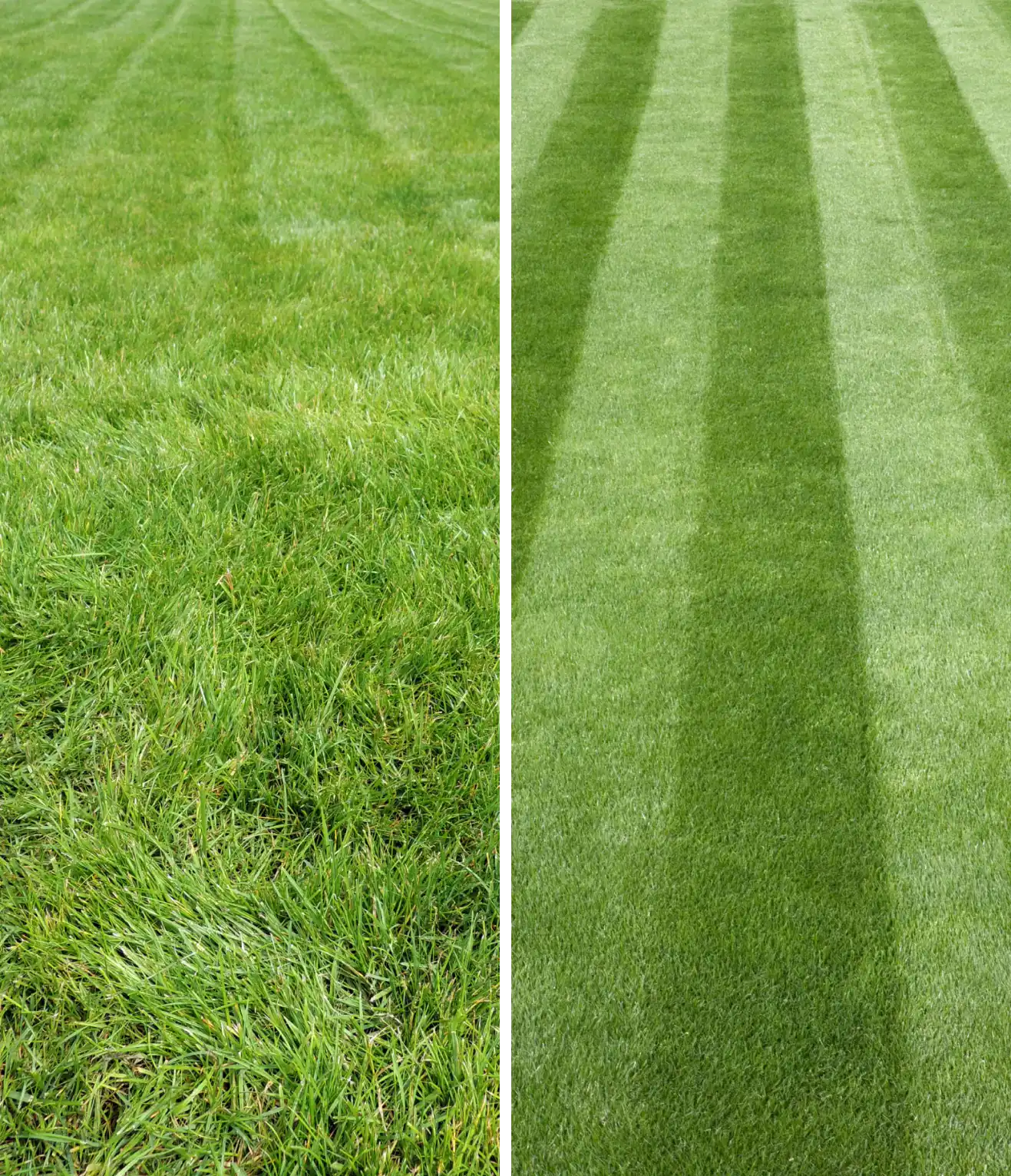 Before and After Truelove Lawn Care