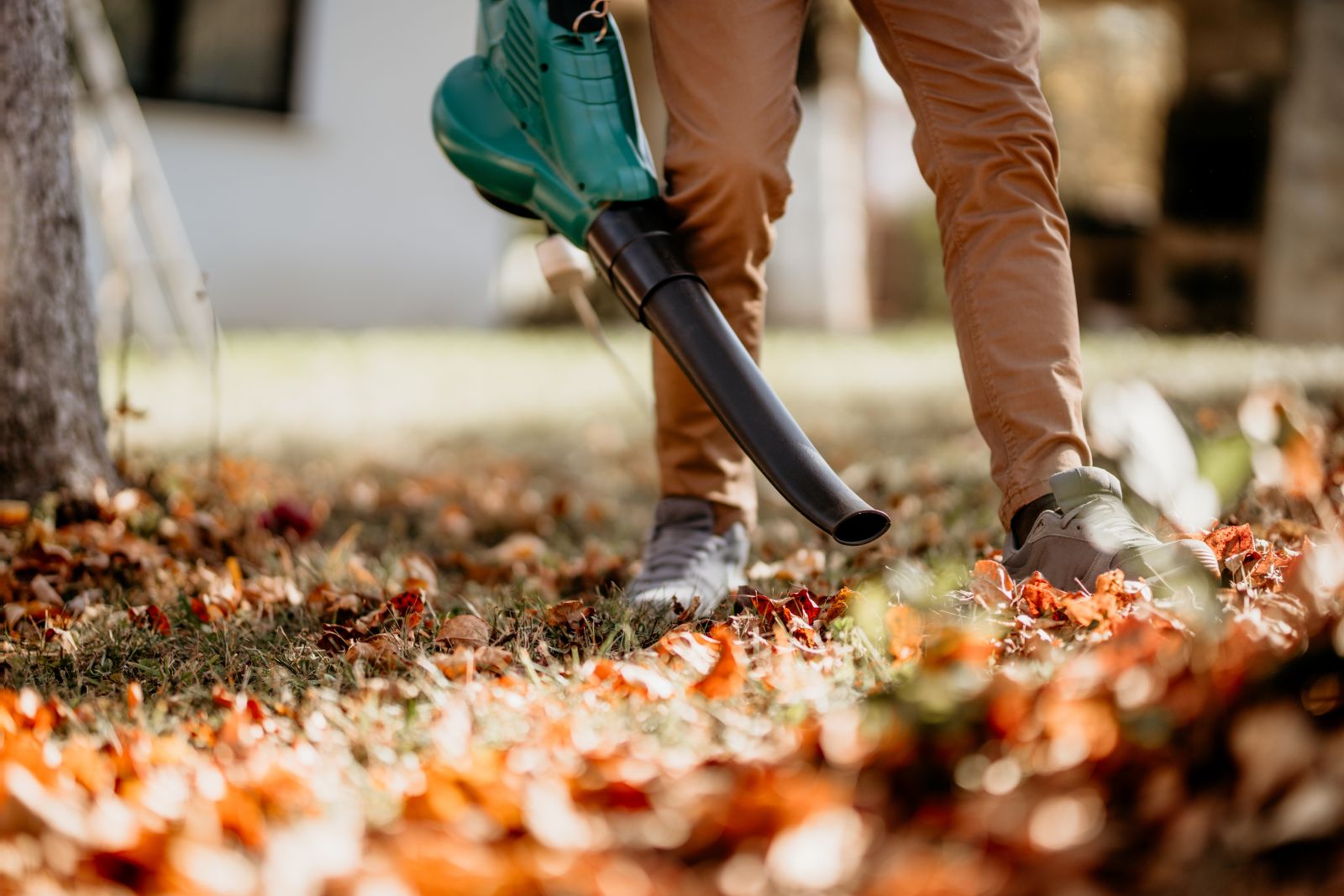 Don’t Let Fall Leaves Ruin Your Lawn! Simple Tips to Keep Your Yard Healthy