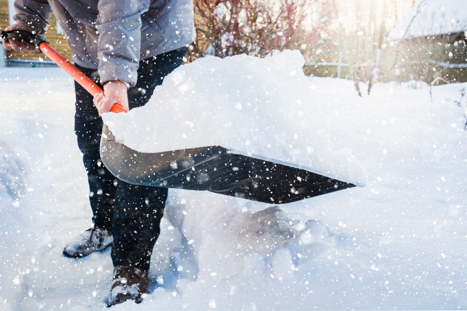 The Comprehensive Lawn Care and Snow Removal Services You Need: Truelove Lawn Care