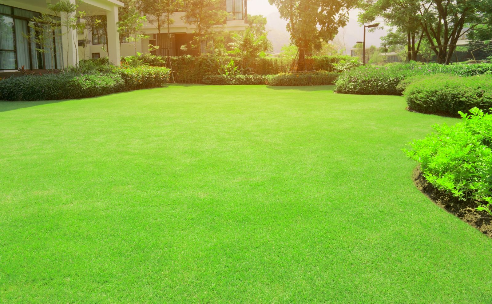 The Art of Lawn Care: Essential Tips for Maintaining a Healthy, Lush Lawn