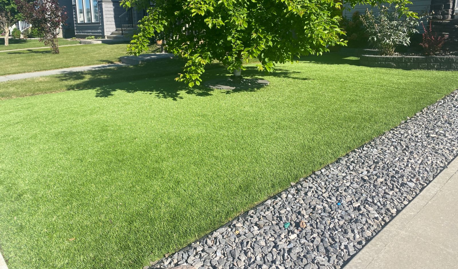 The Secret to a Lush, Green Lawn All Year? It’s Simpler Than You Think!